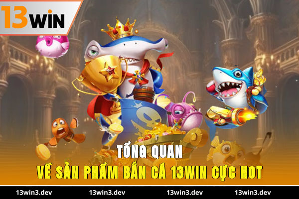 Tổng quan về sản phẩm bắn cá 13WIN cực hot